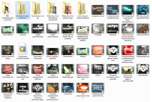 �����������